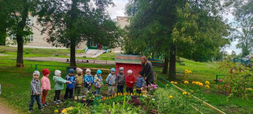 В младшей группе прошло наблюдение «Цветы на клумбах». В младшей группе прошло наблюдение «Цветы на клумбах».