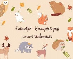 В старше-подготовительной группе прошло экологическое мероприятие "Берегите животных" В старше-подготовительной группе прошло экологическое мероприятие "Берегите животных".